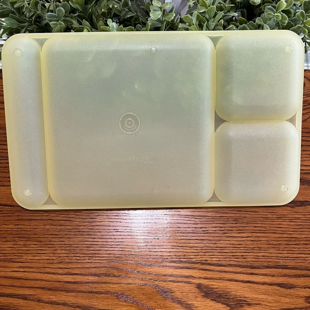 Tupperware Classic Divided Picnic Camping‎ Trays Set of 4 Multicolor #1535